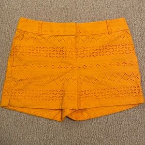 🌻Ann Taylor Loft Orange Tangerine Riviera Shorts